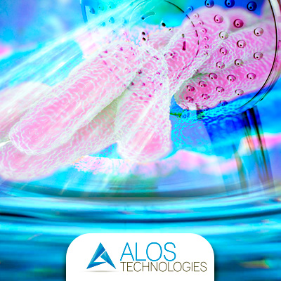 Legionella: incubazione, sintomi e trasmissione