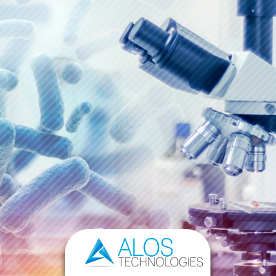 Batteri: curiosità da sapere