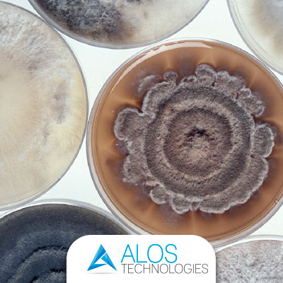 Tubazioni aria e Sick Building Syndrome ovvero la sindrome dell’edificio malato