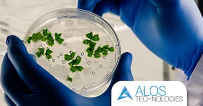 La valutazione del rischio Legionella