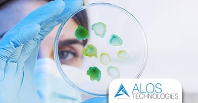 Il ruolo strategico del trattamento anti-Legionella